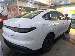 بي واي دي سيل 06 DM-i